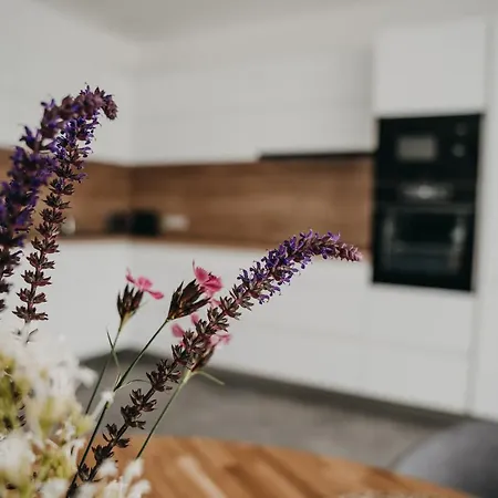 Usti Apartment Hranice (Olomouc)