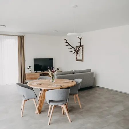 Apartment Usti *