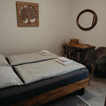 Apartment Usti