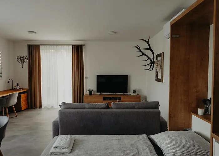 Appartement Usti *